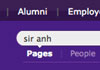 Detail of the site search box.